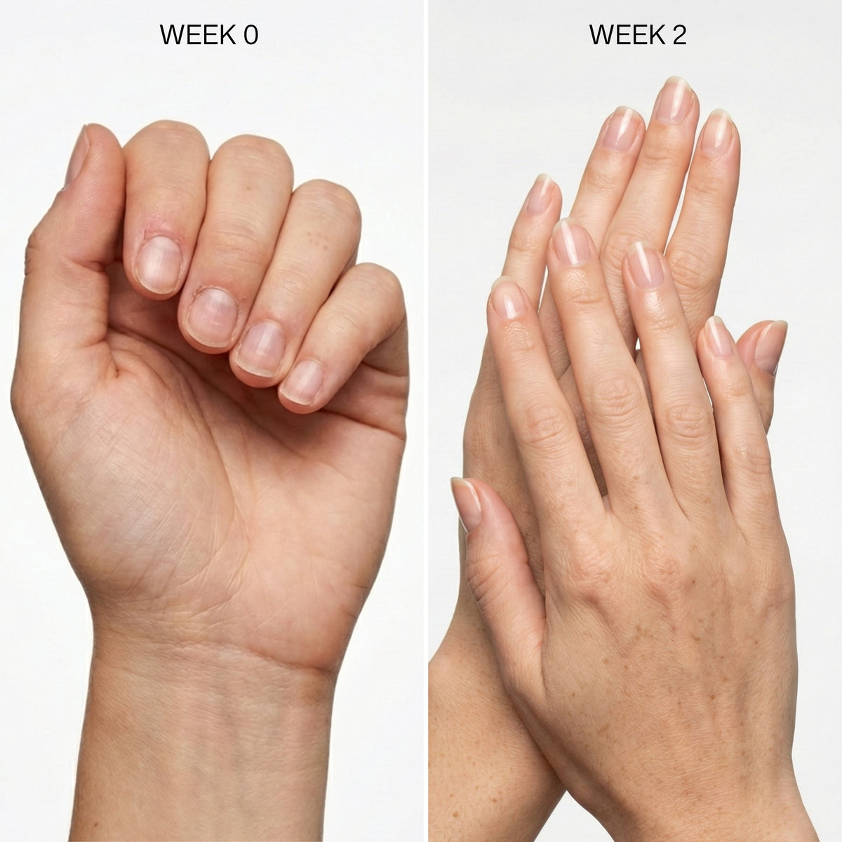 Nail Growth Oil